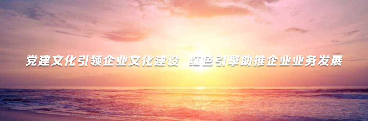银钻国际党委.png 银钻国际党委.png